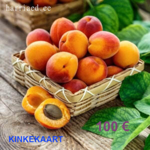 Kinkekaart 100€