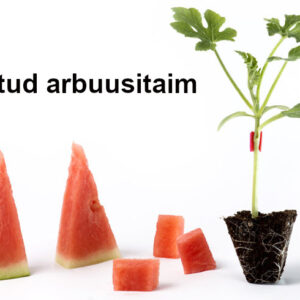 Talvise pookimise õppepäev (veebr II ... märts II dekaad 2026)